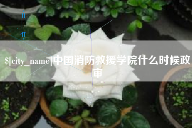 日照中国消防救援学院什么时候政审