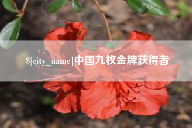 日照中国九枚金牌获得者