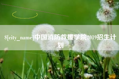 日照中国消防救援学院2019招生计划