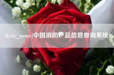 日照中国消防产品信息查询系统1