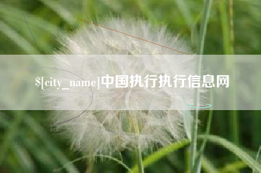 日照中国执行执行信息网