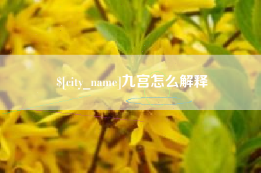 日照九宫怎么解释