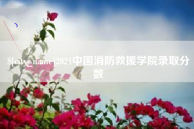 日照2021中国消防救援学院录取分数
