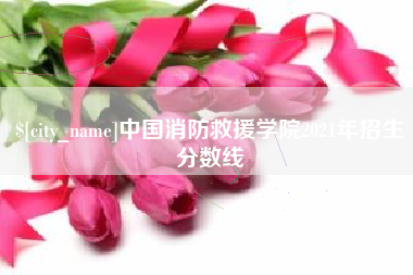 日照中国消防救援学院2021年招生分数线