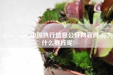 日照中国执行信息公开网官网app为什么要钱呢