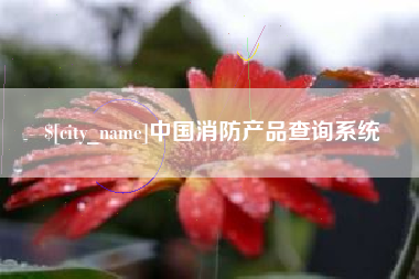 日照中国消防产品查询系统