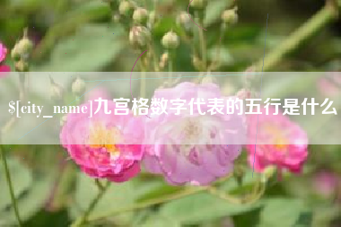 日照九宫格数字代表的五行是什么