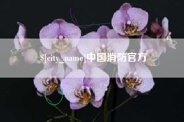 日照中国消防官方