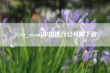 日照中国执行公开网下载