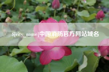 日照中国消防官方网站域名