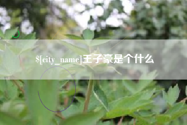 日照王子豪是个什么