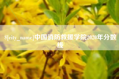 日照中国消防救援学院2020年分数线