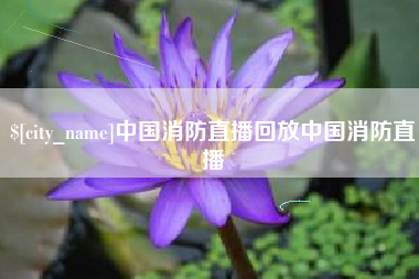 日照中国消防直播回放中国消防直播
