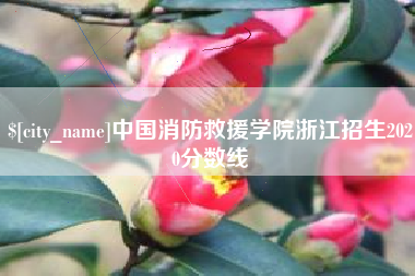 日照中国消防救援学院浙江招生2020分数线