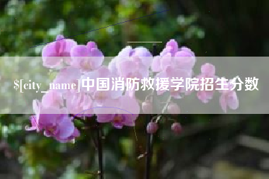 日照中国消防救援学院招生分数