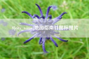 日照地图指南针图标图片