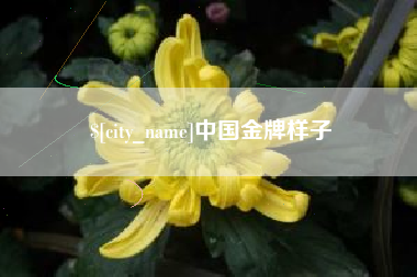 日照中国金牌样子
