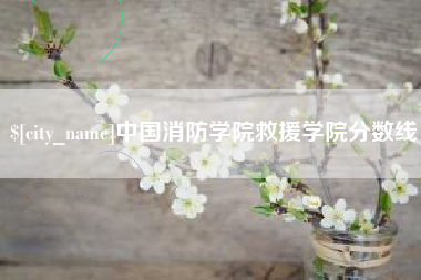 日照中国消防学院救援学院分数线