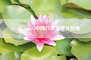 日照中国六块金牌分别是