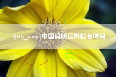 日照中国消防官网报名时间