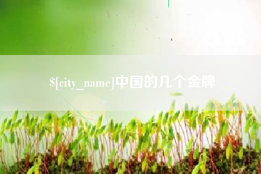 日照中国的几个金牌