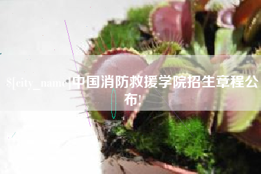 日照中国消防救援学院招生章程公布!