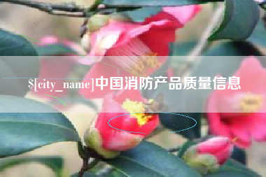日照中国消防产品质量信息