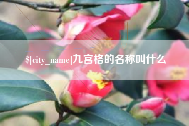 日照九宫格的名称叫什么