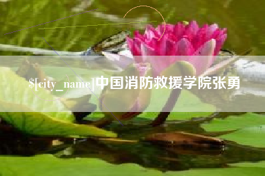 日照中国消防救援学院张勇