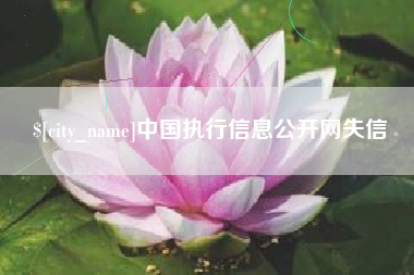 日照中国执行信息公开网失信