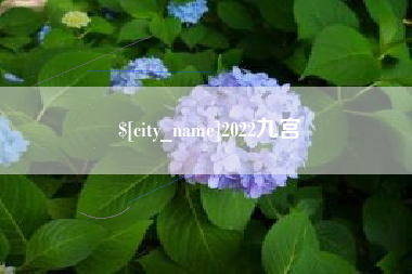 日照2022九宫