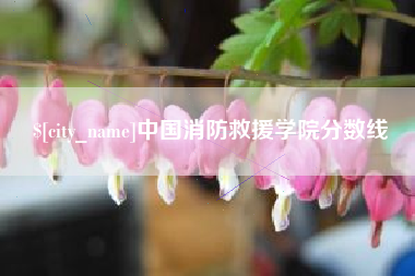 日照中国消防救援学院分数线