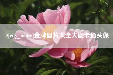 日照金牌图片大全大图卡通头像