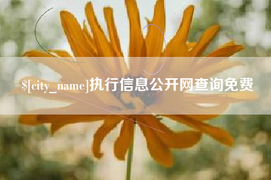 日照执行信息公开网查询免费