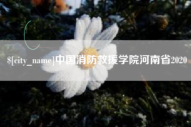 日照中国消防救援学院河南省2020